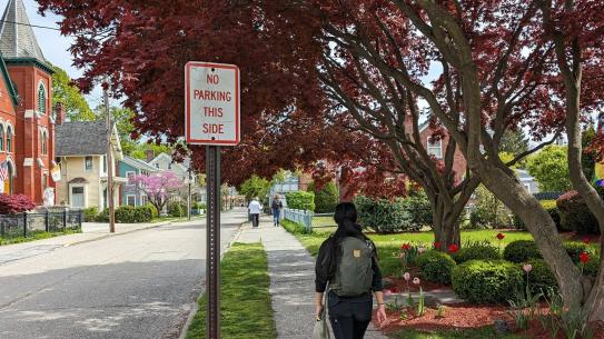 A person walking under a red tree
