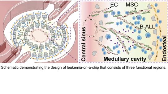 Leukemia-on-a-chip device