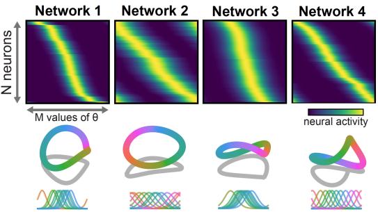 Shape Metric Analysis Diagram