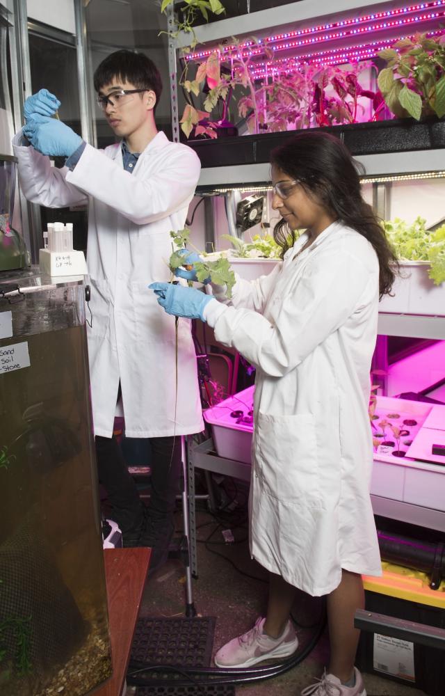 Home | NYU Tandon School of Engineering
