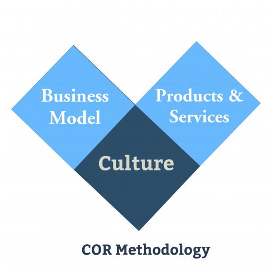 Three squares of equal sizes laid in the form of a V. Each square says, "Business Model", "Culture" and "Products and Services" respectively