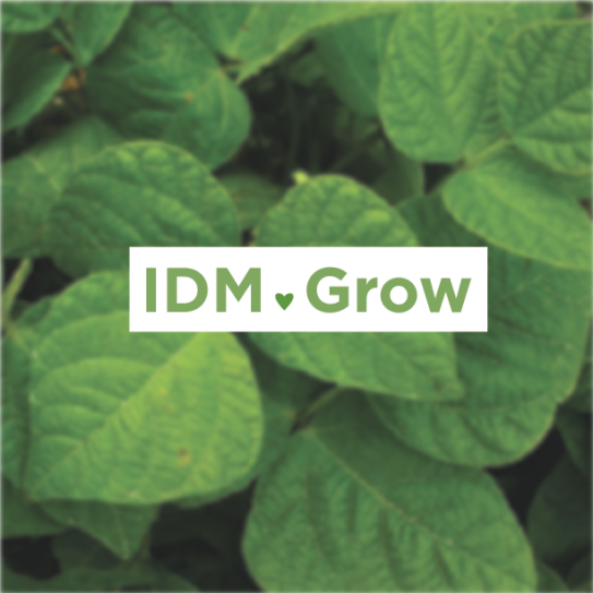 A backdrop of green leaves with "IDM grow" overlaid on it. 
