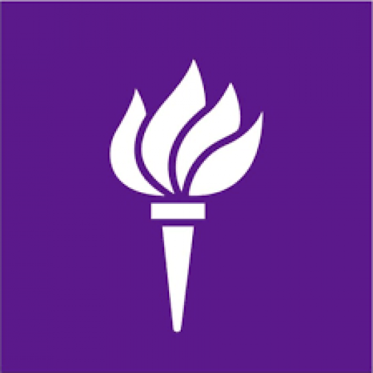 NYU torch logo