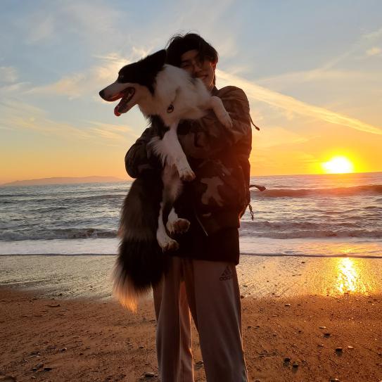 person holding a dog on a beach
