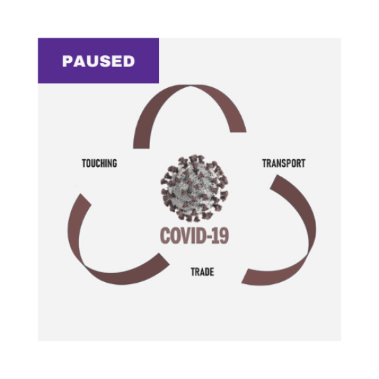 COVID-19 graphic with rounded arrows arranged in a triangle [Team is Paused]