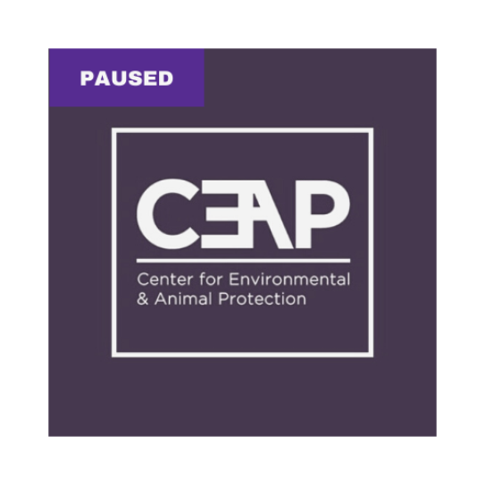 CEAP block lettering above Center for Environmental & Animal Protection on purple background [PAUSED Team]