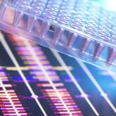 close up of scientist holding a multi well plate that contains DNA samples with the DNA profiles on a computer screen