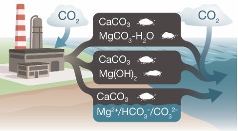 A graphic showing the movement of minerals from land and Carbon Dioxide from the air moving into the ocean