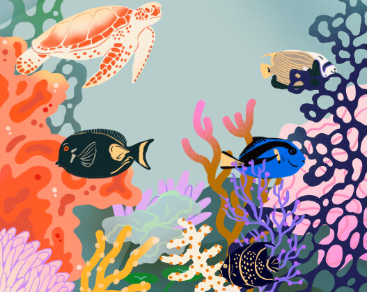 drawing of multiple fishes in a coral reef