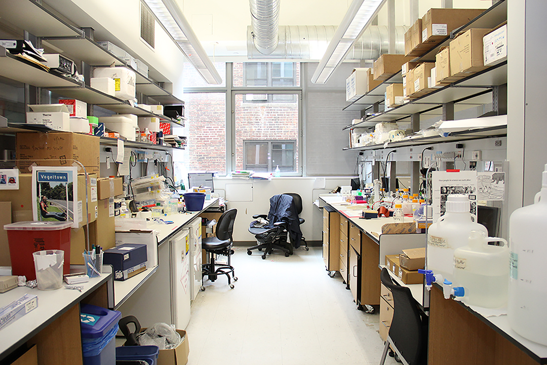 an empty lab
