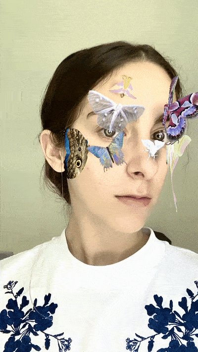 Butterfly filters